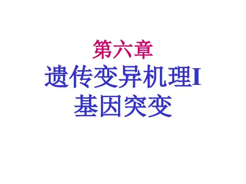 分子遗传学第六章 遗传变异的机理1——基因突变