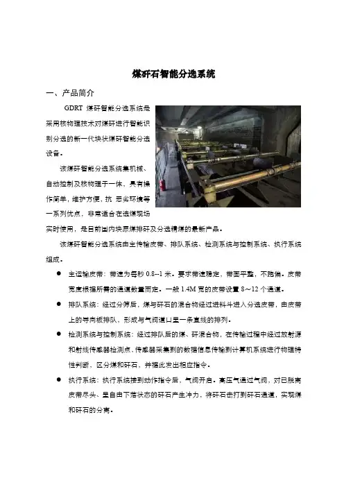 煤矸石智能分选系统