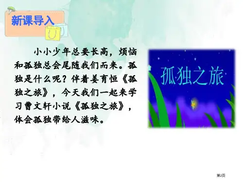 16孤独之旅市公开课一等奖省优质课获奖课件