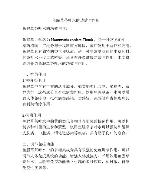 鱼腥草茶叶水的功效与作用