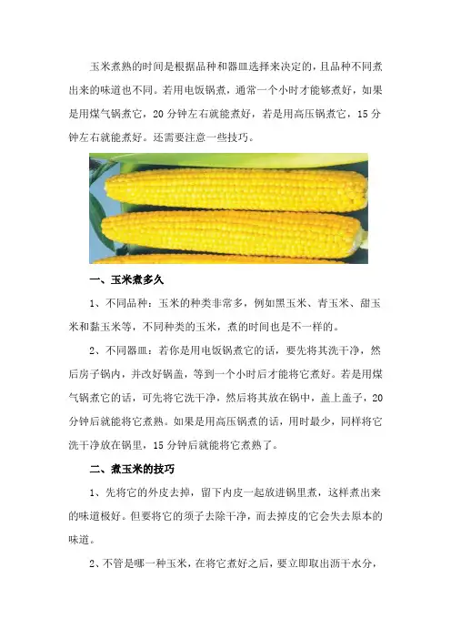 玉米煮多久