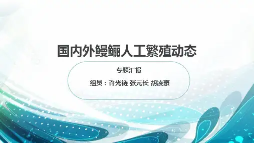 鳗鲡人工繁殖动态