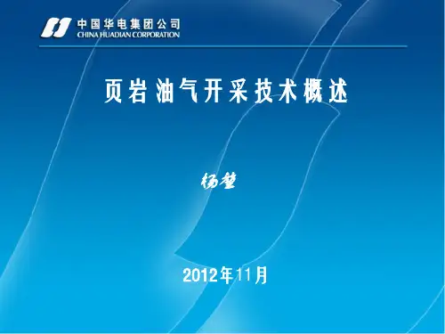 页岩油气开采技术概述