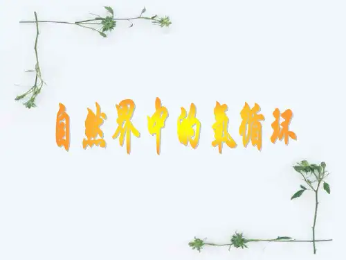 自然界中的氧循环