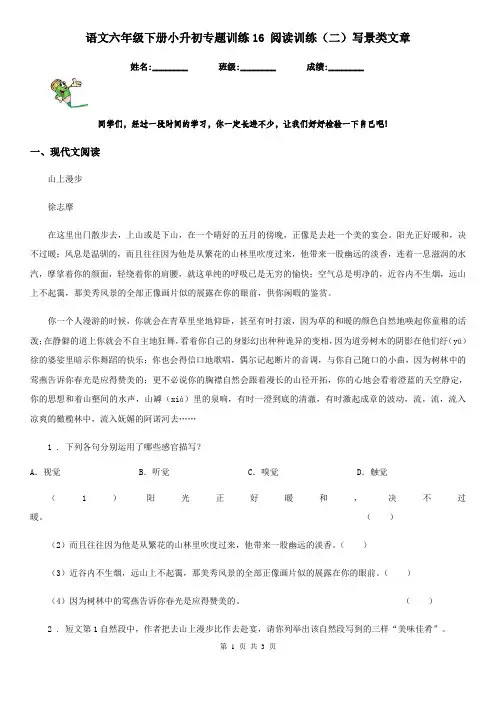 语文六年级下册小升初专题训练16 阅读训练(二)写景类文章