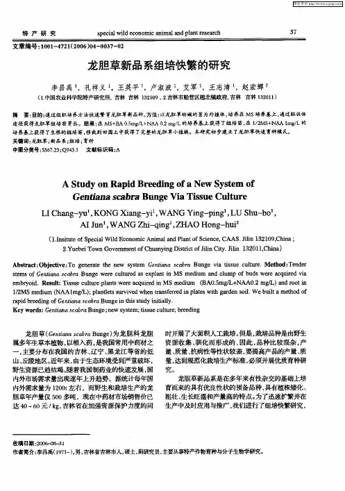 龙胆草新品系组培快繁的研究
