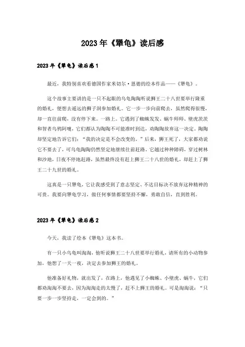 2023年《犟龟》读后感_1