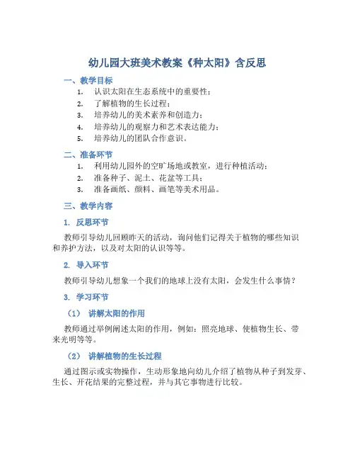 幼儿园大班美术教案《种太阳》含反思