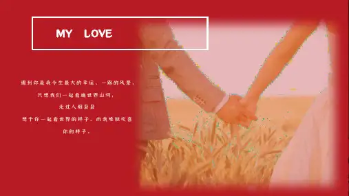 红色我们结婚了婚礼电子相册教育课件ppt模板