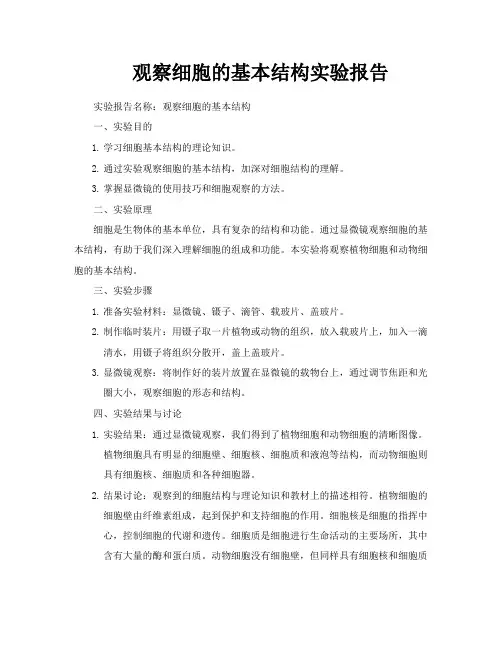 观察细胞的基本结构实验报告