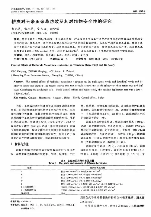 耕杰对玉米田杂草防效及其对作物安全性的研究