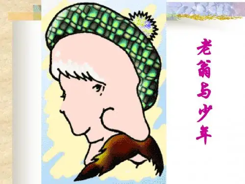 《落日的幻觉》ppt课件