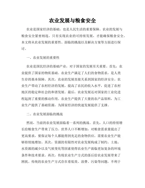 农业发展与粮食安全