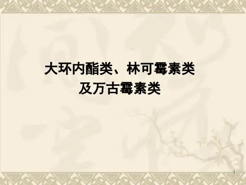 大环内酯类 林可霉素 氨基糖苷类
