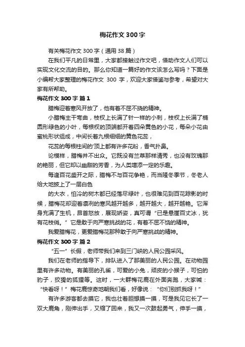 有关梅花作文300字（通用38篇）