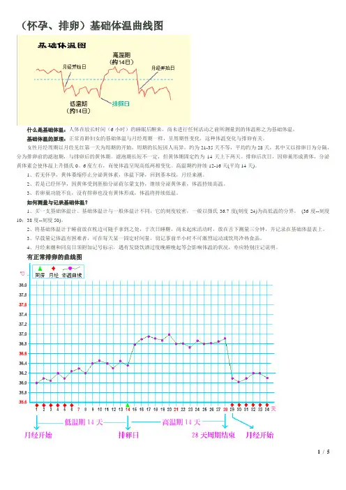 解读孕前基础体温
