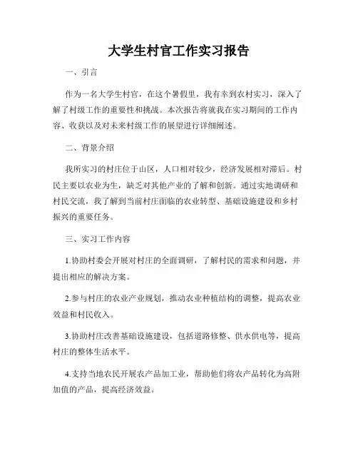 大学生村官工作实习报告