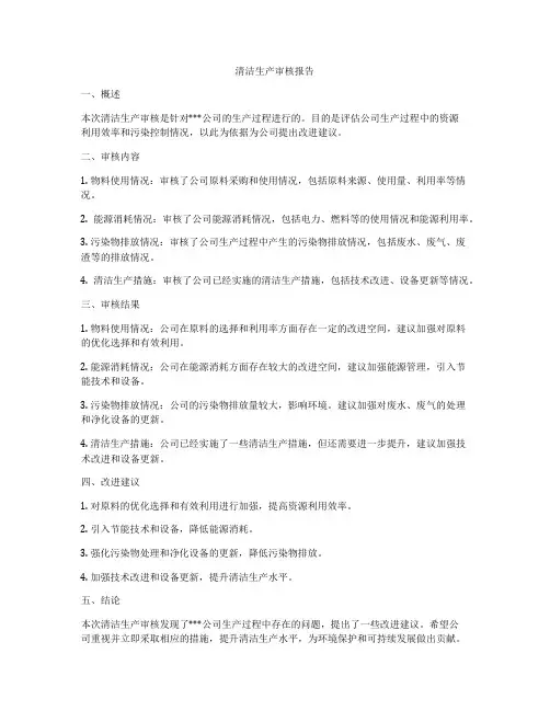 清洁生产审核报告