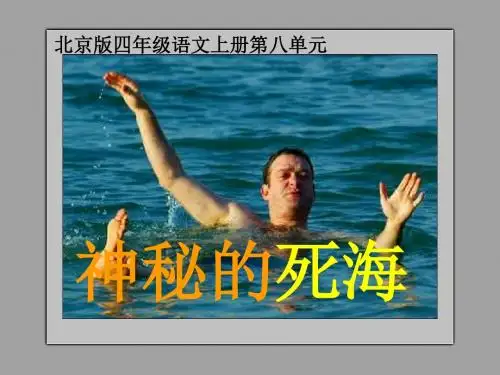 四年级语文神秘的死海