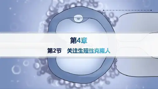 【高中生物】2023-2024学年人教版选择性必修三 关注生殖性克隆人课件