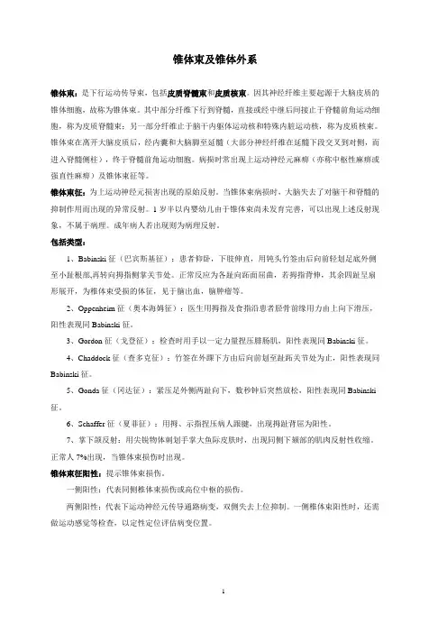 锥体束及锥体外系资料