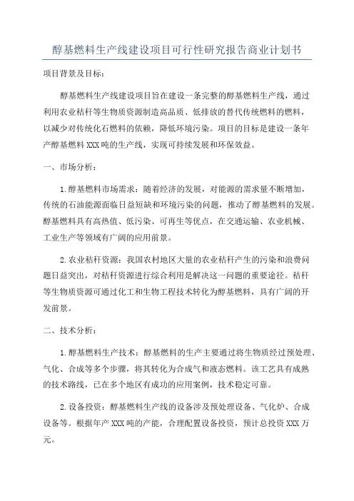 醇基燃料生产线建设项目可行性研究报告商业计划书