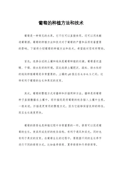 葡萄的种植方法和技术