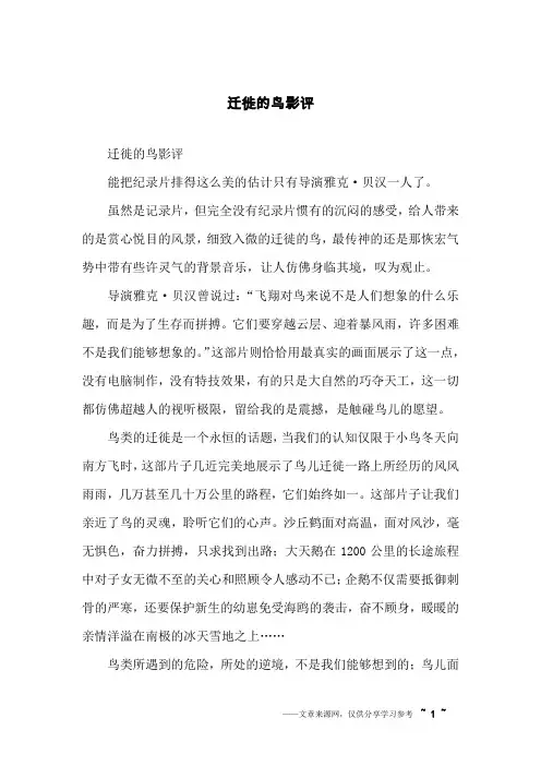 迁徙的鸟影评