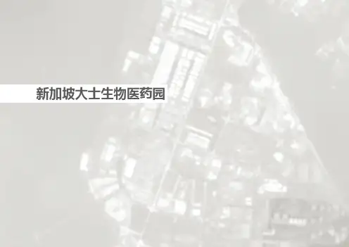 国外医疗产业园区案例研究——新加坡大士