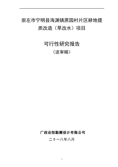 旱改水项目可研报告完善版(低压管灌灌溉方式)