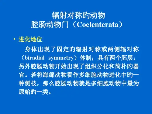 腔肠动物专业知识
