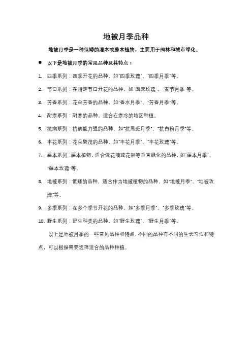 地被月季品种