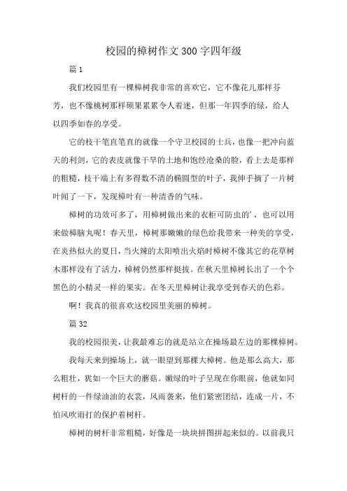 校园的樟树作文300字四年级