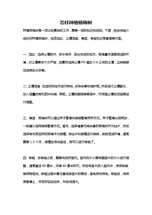 怎样种植杨梅树