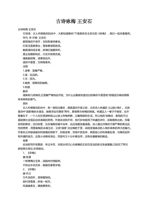 古诗咏梅 王安石