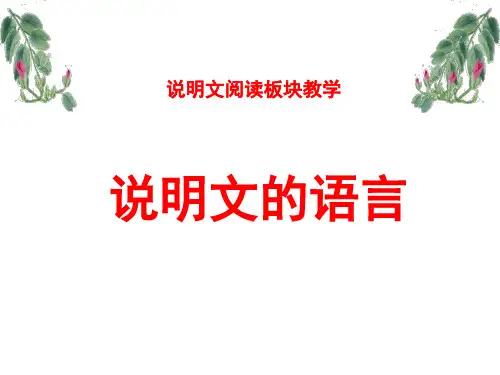 说明文语言的准确性