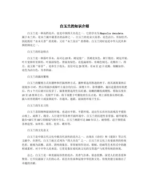 白玉兰的知识介绍
