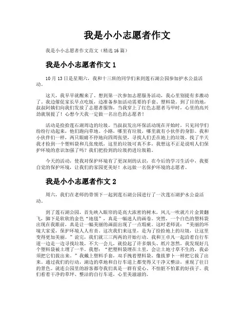 我是小小志愿者作文