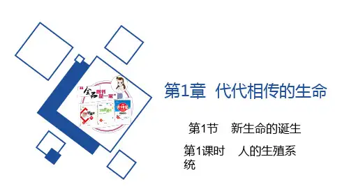 浙教版科学《新生命的诞生》ppt优秀课件2
