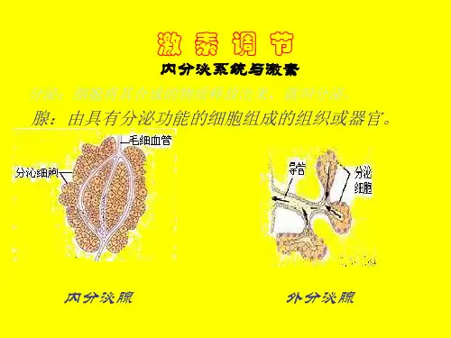 七年级生物激素调节3(201911整理)