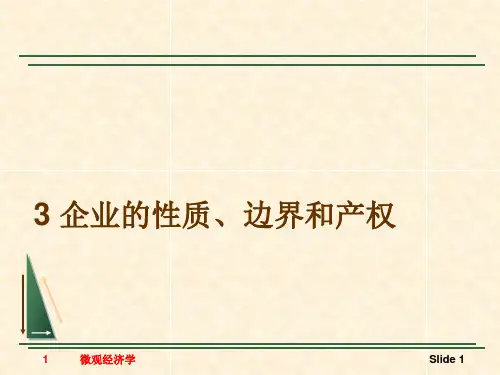 企业的性质、产权和边界概述.