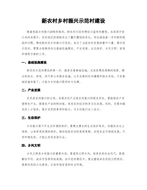 新农村乡村振兴示范村建设