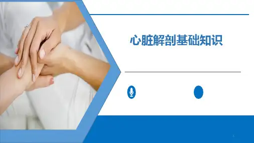 心脏基础知识PPT课件