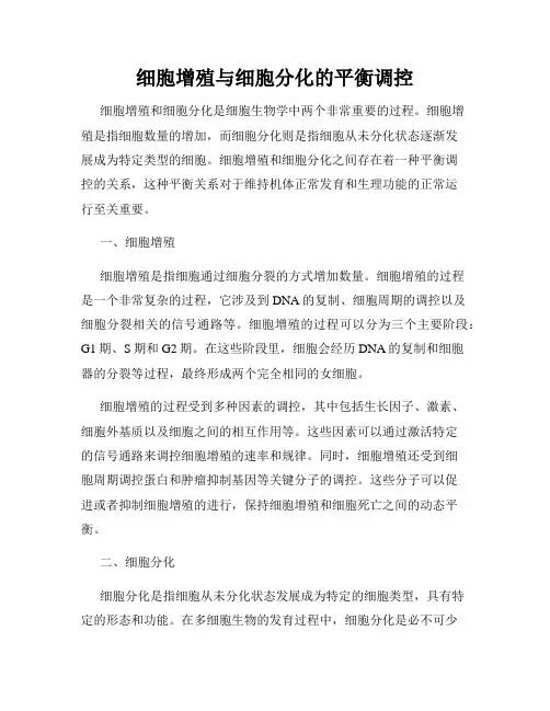 细胞增殖与细胞分化的平衡调控