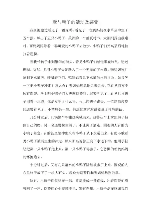 我与鸭子的活动及感受