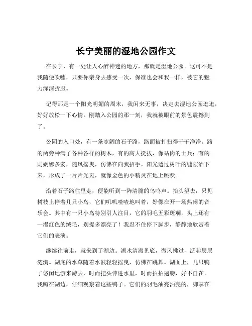 长宁美丽的湿地公园作文