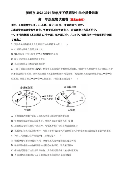 江西省抚州市2023-2024学年高一下学期期末考试 生物含答案