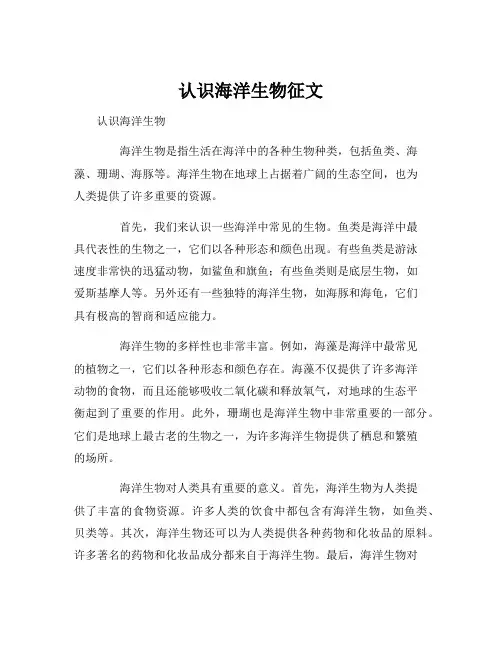 认识海洋生物征文