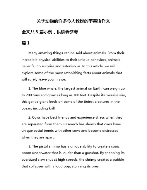 关于动物的许多令人惊讶的事英语作文