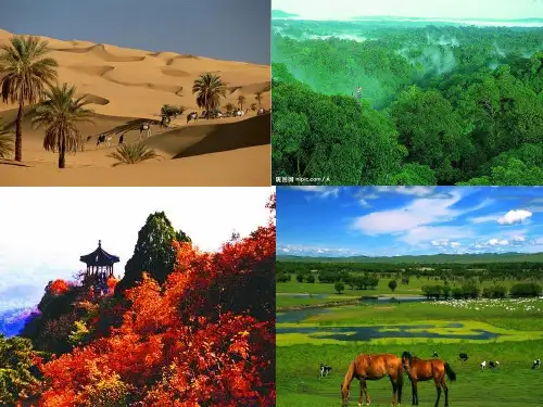 湘教版七年级上册地理-自制气候类型判读图(配世界气候教学)